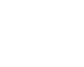 Weißes Pericon Logo